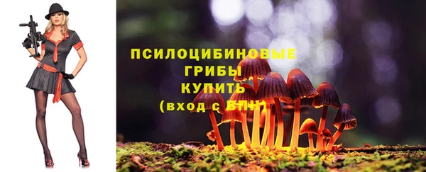 бутират Бородино