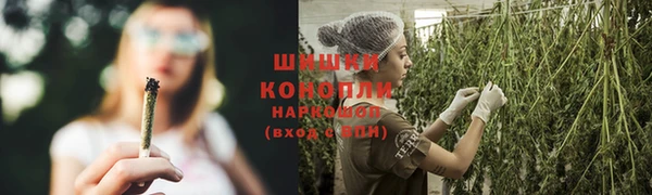 дживик Бронницы