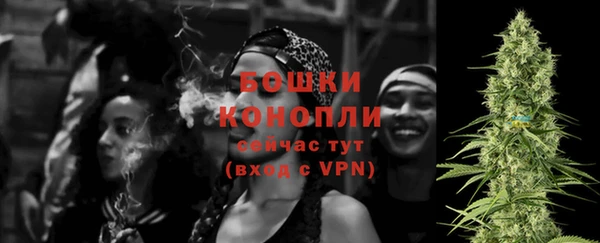 гидра Бугульма