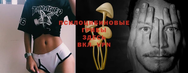 дживик Бронницы