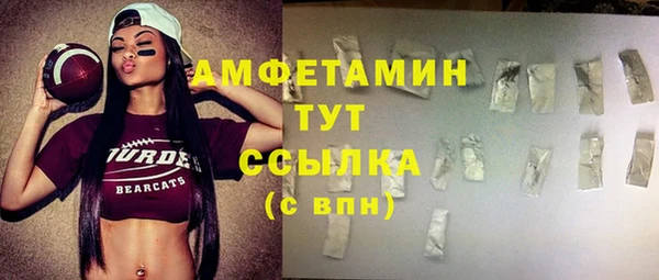 дживик Бронницы