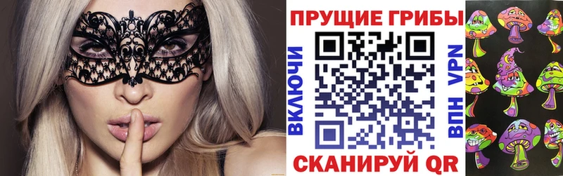 Купить где  Сусуман  Псилоцибиновые грибы MAGIC MUSHROOMS 